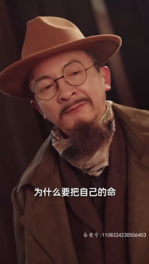 浩气长存（100集）看过的人都说好