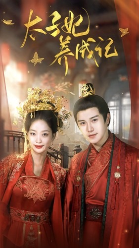 太子妃养成记（97集）热播短剧免费看
