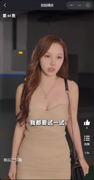 我的富豪美女总裁（我的极品女总裁）短剧全集完整