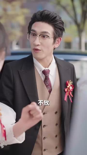 傅总请别纠缠不休（72集）百度网盘资源