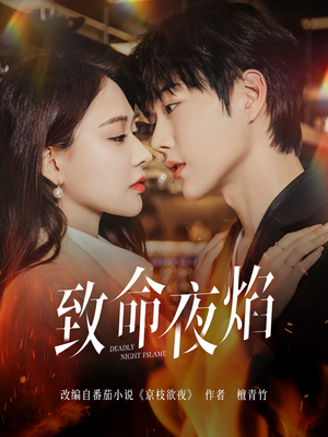 致命夜焰（80集） 热门短剧看不停