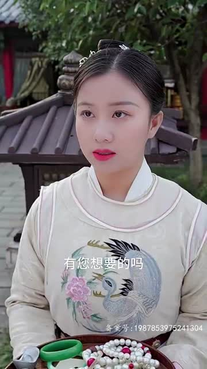 云鬓乱（80集） 免费短剧完整版