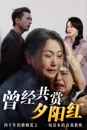曾经共赏夕阳红 短剧在线观看