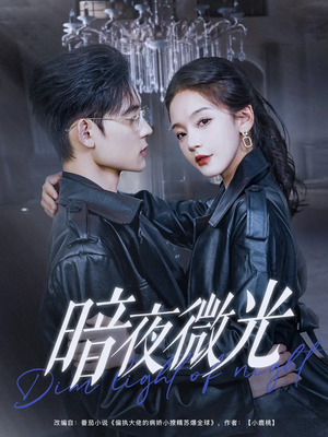 暗夜微光（86集）在哪里可以看