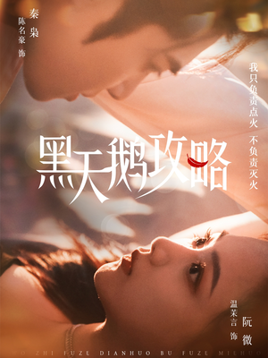 黑天鹅攻略（65集）好看又上头短剧