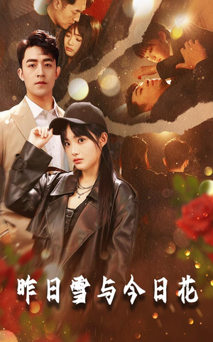 昨日雪与今日花（81集）最火爆的短剧