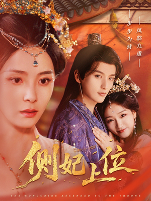 侧妃上位（80集）高清画质免费看