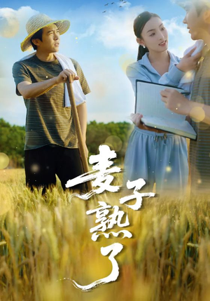 麦子熟了（52集）一起追生活短剧