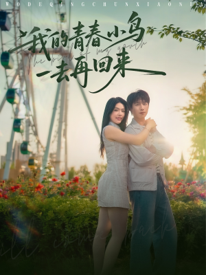 我的青春小鸟一去再回来（95集）热门短剧在线看