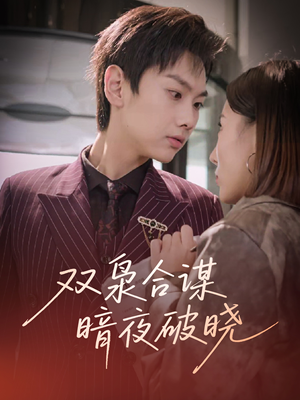 双枭合谋暗夜破晓（30集）全剧免费观看