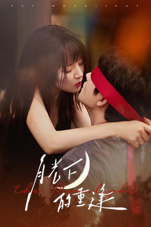 月光下的重逢（54集）全集免费观看