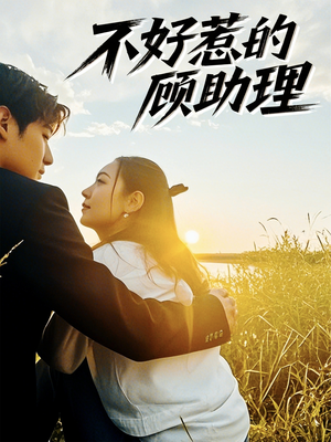 不好惹的顾助理（67集）短剧免费看