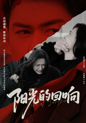 阳光的回响（50集）大结局一气呵成