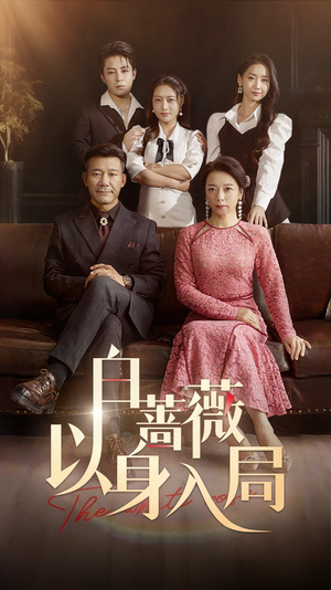 白蔷薇以身入局（82集）短剧太好看