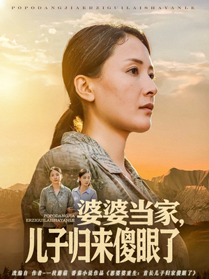 婆婆当家儿子归来傻眼了（80集）免费短剧片段