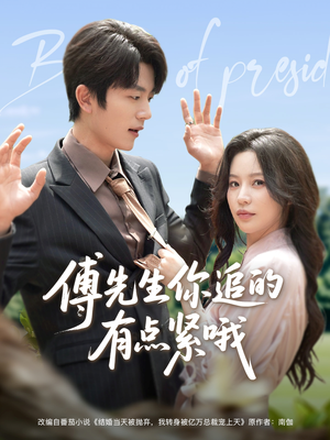 傅先生你追的有点紧哦（95集）演员表