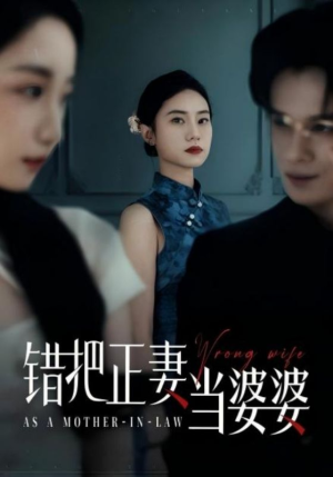 错把正妻当婆婆（46集）在线看到大结局