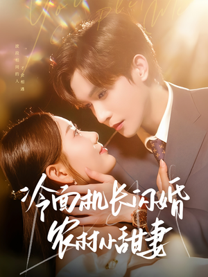 冷面机长闪婚农村小甜妻（73集）全集一网打尽