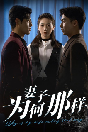 妻子为何那样（60集）常回家看看短剧