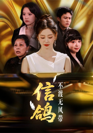 信鸽不渡无风带（65集）超好看古装短剧
