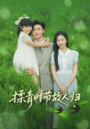 揉青时节故人归（60集）好看到停不下来