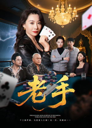 老手（36集）全剧免费观看