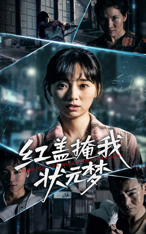 红盖掩我状元梦（44集）第一季