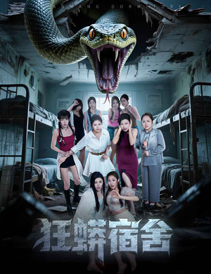 狂蟒宿舍（50集）热播短剧排行榜