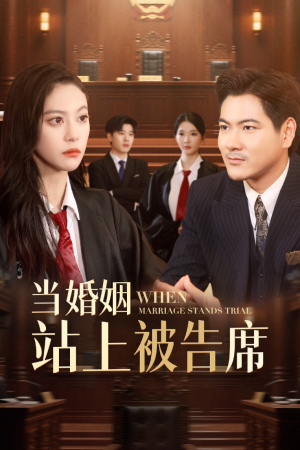 当婚姻站上被告席（30集）最火短剧热播中