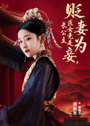 贬妻为妾医女竟是长公主（80集）评价怎么样
