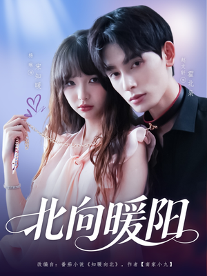 北向暖阳（80集）今日短剧分享