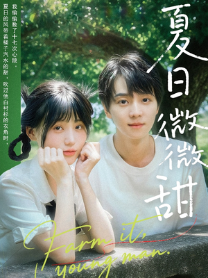 夏日微微甜（79集）在哪里可以全集