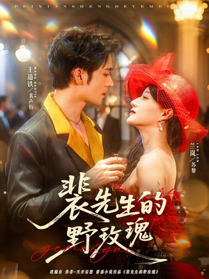 裴先生的野玫瑰（72集）在线看完整版