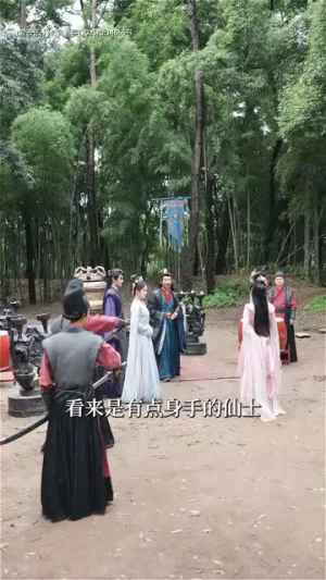 凤去台空江自流（41集）百度网盘资源