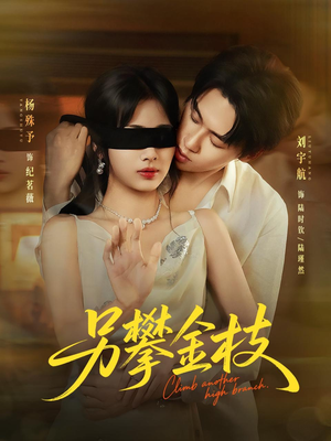 另攀高枝（60集）在线看免费版