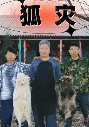 狐灾（25集）热门短剧又来了
