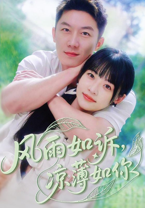 风雨如诉凉薄如你（70集）在哪个平台能看