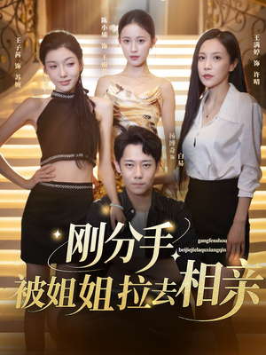 刚分手被姐姐拉去相亲&分手被姐姐拉去相亲（73集）在线看免费版