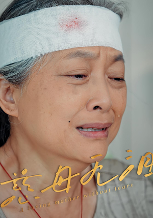慈母无泪（30集）观看软件