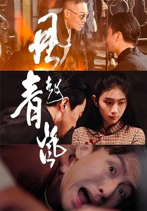 风起青岚（96集）好看短剧又来了