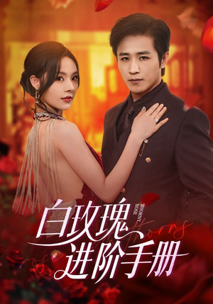 白玫瑰进阶手册（64集）直接看到大结局