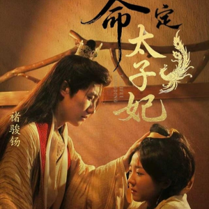 命定太子妃（63集）高分佳作免费看
