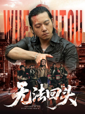 无法回头（79集）全集一次看完