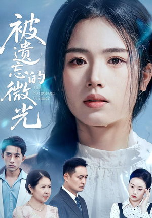 被遗忘的微光（48集）全集