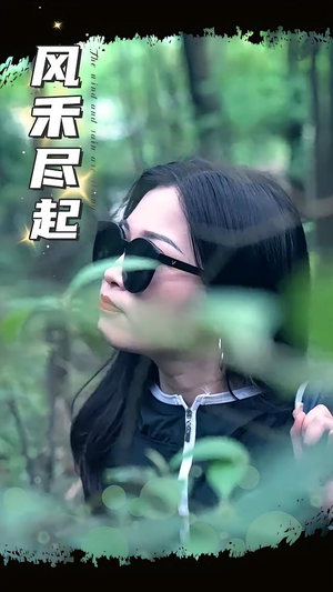 风禾尽起（31集）好看上头的短剧