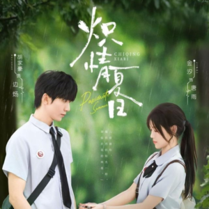 炽情夏日（80集）短剧看全集