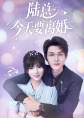 陆总今天要离婚（81集）免费短剧资源