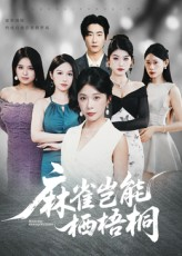 麻雀岂能栖梧桐（31集）全集免费看短剧