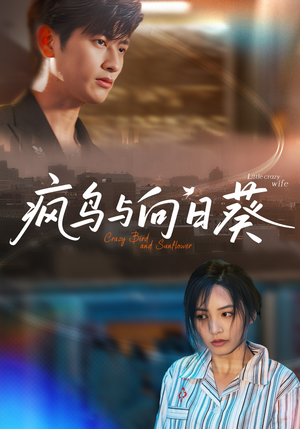 疯鸟与向日葵（40集）经典老剧免费看