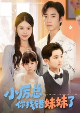 小厉总你找错妹妹了（52集）热门短剧看不停